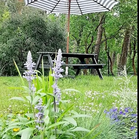 Dom Nad Morzem House By The Sea * 포비에로보