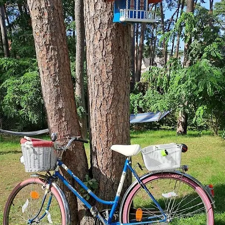 Dom Nad Morzem House By The Sea * 포비에로보