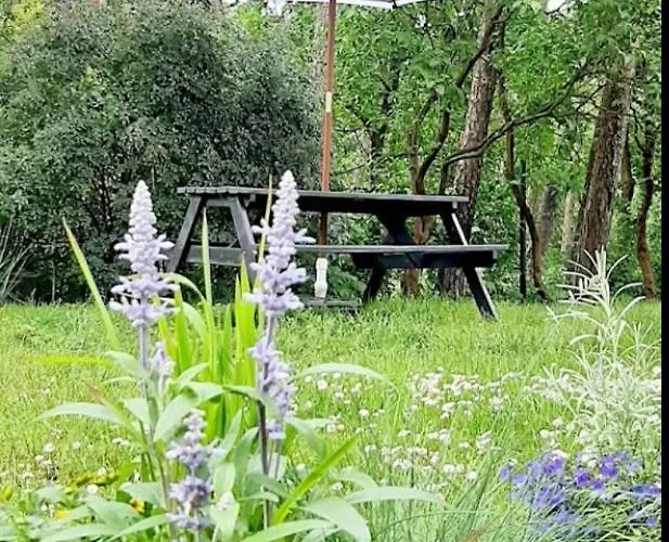 Dom Nad Morzem House By The Sea * Pobierowo